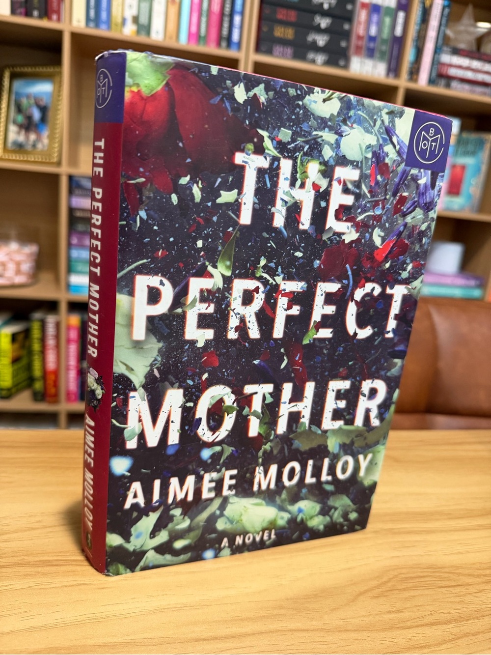 The Perfect Mother by Aimee Molloy - Hardcover Book (Multicolor Cover)